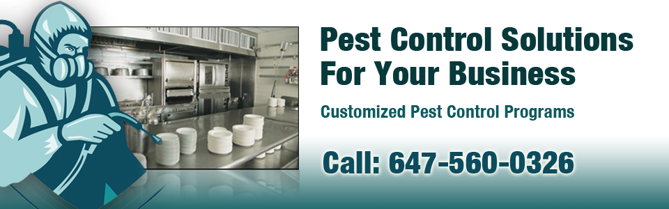 Commercial Pest Control Solutions